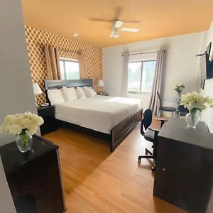 Studio Lit King-Size